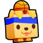 Basketball Retriever