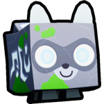 Enchanted Raccoon