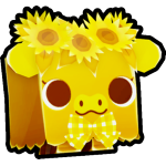 Golden Sunflower Calf