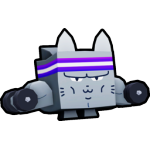 Gym Cat