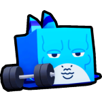 Gym Shark