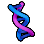 Muscle Helix