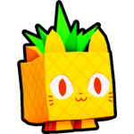 Pineapple Cat