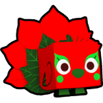 Poinsettia Peacock