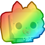 Rainbow Baby Kitten