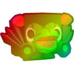 Rainbow Dominus Hippomelon