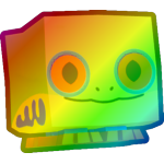 Rainbow Tree Frog