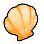 Seashell