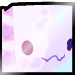 Shiny Huge Blurred Axolotl