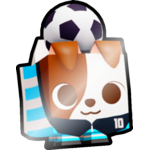 Shiny Soccer Terrier