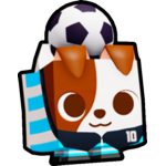 Soccer Terrier
