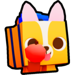 Student Corgi