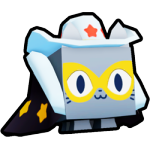 Stunt Cat