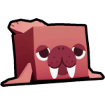 Walrus